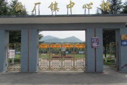 通化市铁厂镇中心小学校阅读区