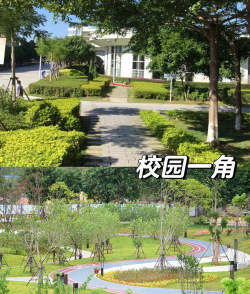 厦门技师学院阅读区