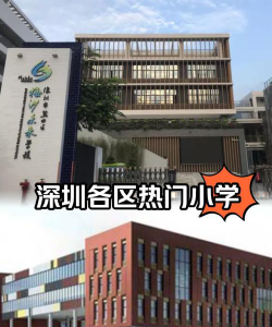 深北小学阅读区