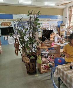 深圳实验盛世幼儿园阅读区