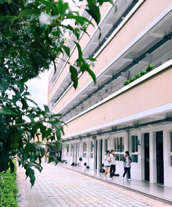 孝昌县周巷镇青山初级中学阅读区