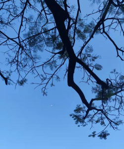 东莞市东莞中学初中部阅读区