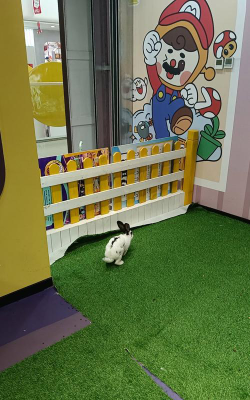 茂港区羊角小精灵幼儿园阅读区