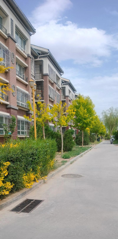 藁城市开发区良村阅读区
