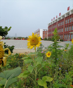 草盘职业中学阅读区
