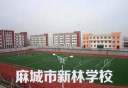 麻城市新林学校阅读区