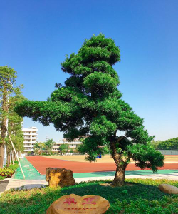 佛山市南海区大沥初级中学阅读区