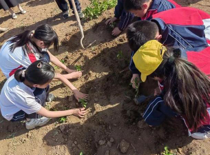 石门中心小学阅读区