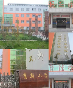 安国市育新小学阅读区