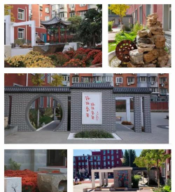 清水育英小学阅读区