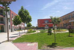 黄骅市旧城镇旧城小学阅读区