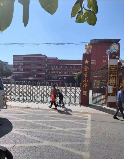 金星小学阅读区