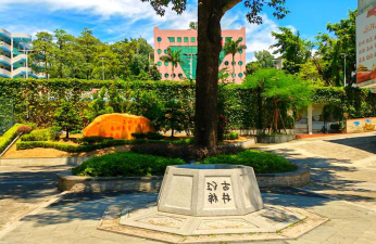 东莞市虎门中心小学阅读区