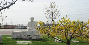 北京市海淀区上庄中心小学（上庄校区）阅读区