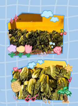 苍南县矾山镇南堡中心幼儿园阅读区