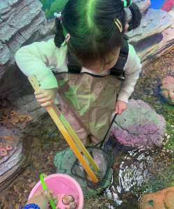 榆次区乌金山镇海底岭幼儿园阅读区