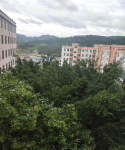 官寨中学阅读区
