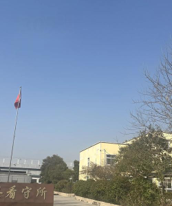 崇仁县保育院阅读区