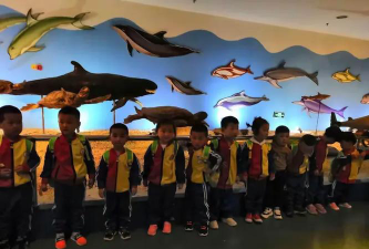 乾县小天鹅音乐幼儿园阅读区