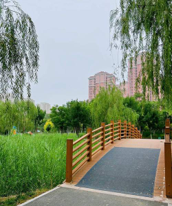 天津市北辰区双青第五幼儿园阅读区