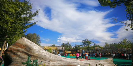 北京市昌平区阳坊镇中心幼儿园阅读区