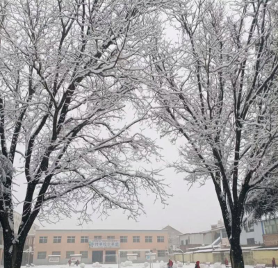 雪小学阅读区