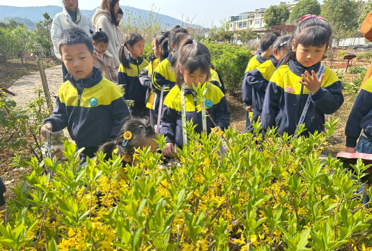 常熟市虞山镇双巷小学阅读区