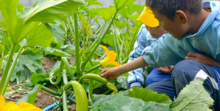 龙仁乡中心小学阅读区