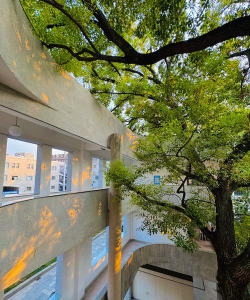湖北美术学院阅读区