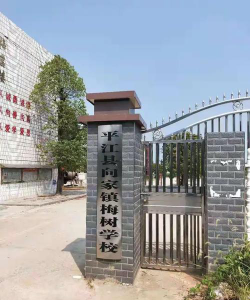 向家镇梅树中心校阅读区