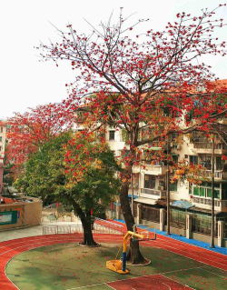 流花路小学阅读区