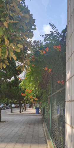 河南省信息工程学校阅读区