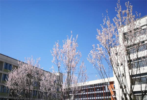 贵定师范学校阅读区