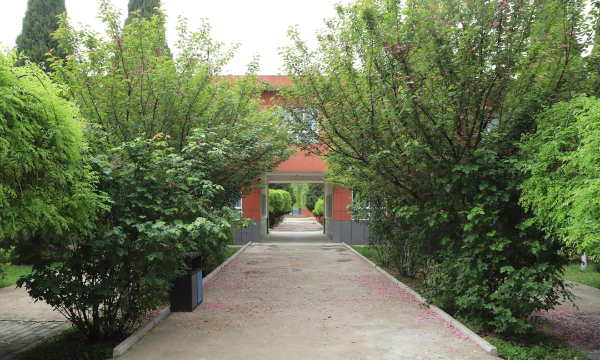 陕压中学阅读区