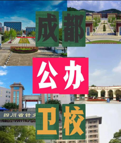 成都金沙卫校阅读区