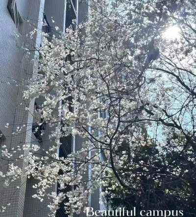 德阳科贸职业学院中专部阅读区