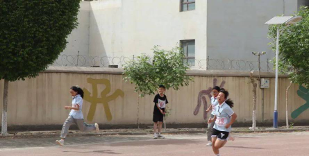 26团中学阅读区