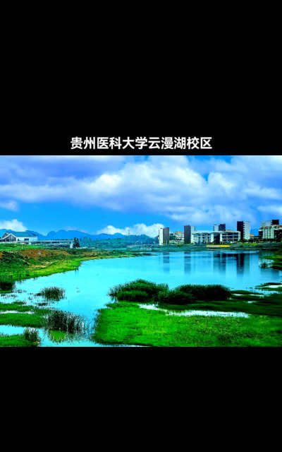 贵州医科大学阅读区