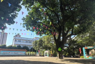 广州市培红小学阅读区