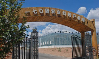 农九师170团中学阅读区