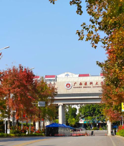 广西医科大学阅读区
