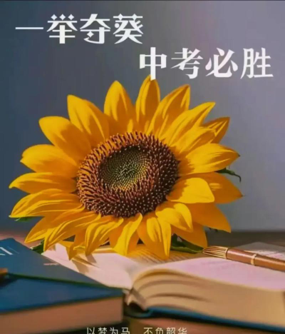 宋曹镇中学阅读区