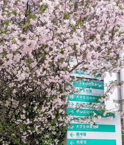 三峡联合大学阅读区