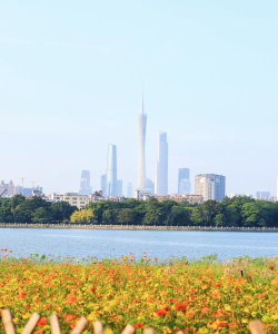 广州市海珠区三阅读区