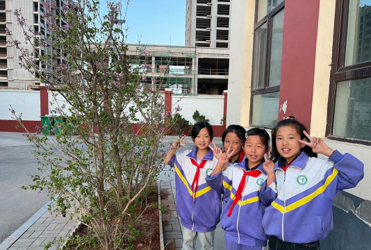 香花岭小学阅读区