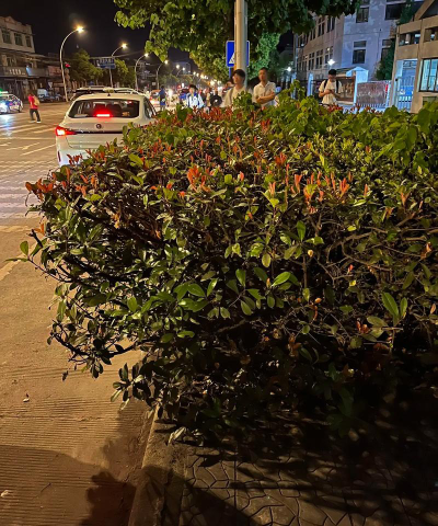 德阳市绵竹市南轩中学阅读区