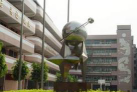 广州市番禺区市桥桥东小学阅读区