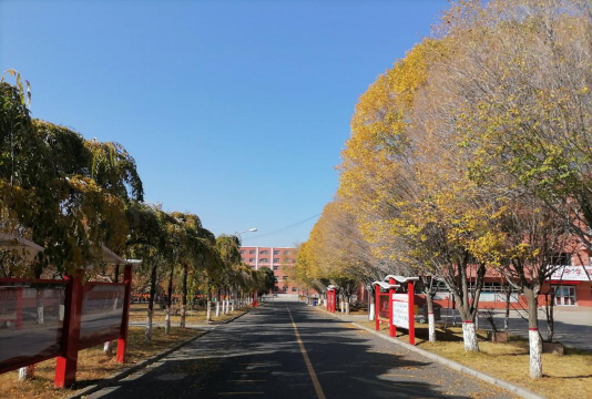 乌鲁木齐众志公学阅读区
