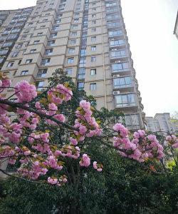 贵阳金地社区仙人掌幼儿园幼儿园阅读区
