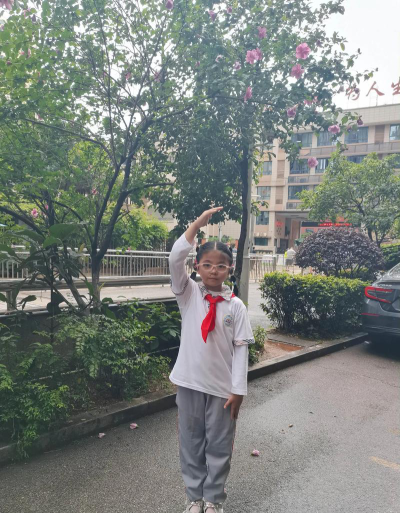 舜陵镇一完小阅读区